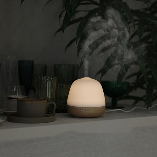 Ultrasonic Home Creative Essential Oil Humidifier